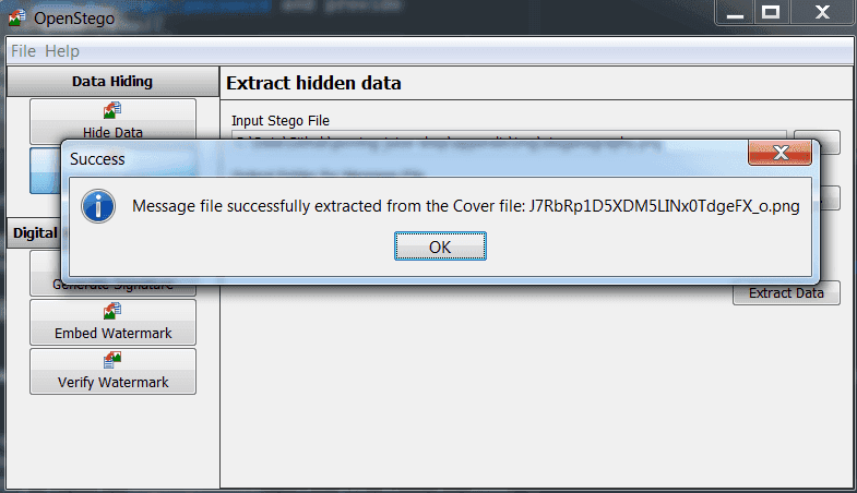 Steganography exctraction successful